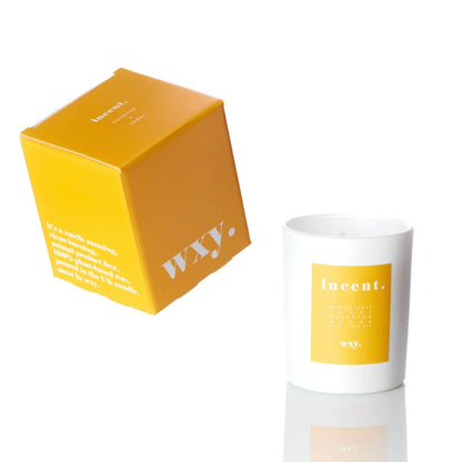 7oz Soy Wax Candle